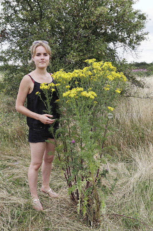 户外女孩和高大的植物黄豚草Senecio jacobaea